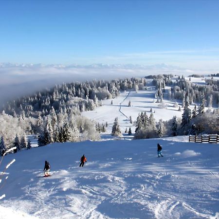 Le Chamois Mont D'Or Apartment Metabief Bagian luar foto